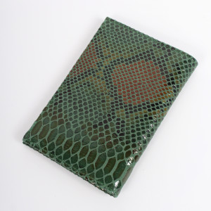 YG-087 Обложка на паспортом Nina Farmina 9286-186 