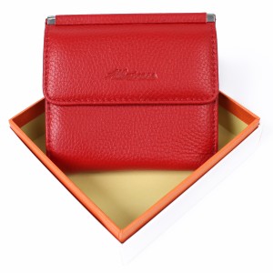 YS  Женский кошелек Albatross 2013