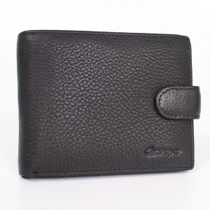 YK Мужское портмоне Catiroya L532-209 