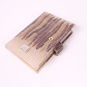 YG-080 Обложка на автодокументы с паспортом Nina Farmina 9320-308 