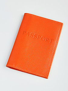 YG Обложка на паспорт с визитницей "Лама-119" 